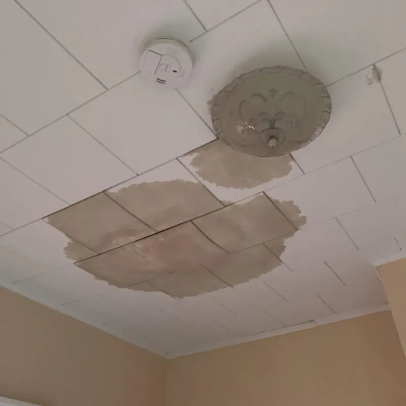 Ceiling Water Damage Repair in Stallings, NC