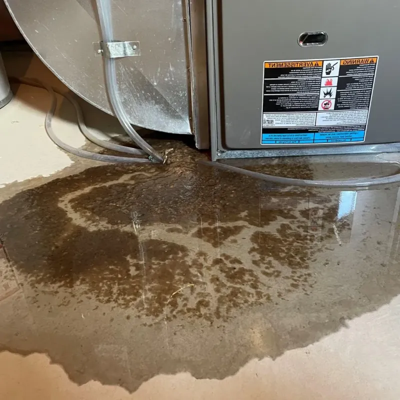 Pipe Burst and Leak Restoration in Stallings, NC