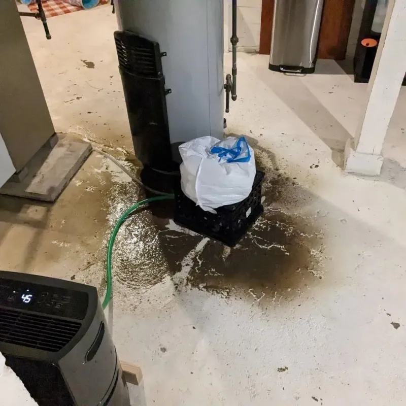 Sewage Backup Cleanup Service in Stallings, NC